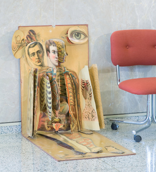 Illustration for article titled Behold, an X-ray of Hitler's head